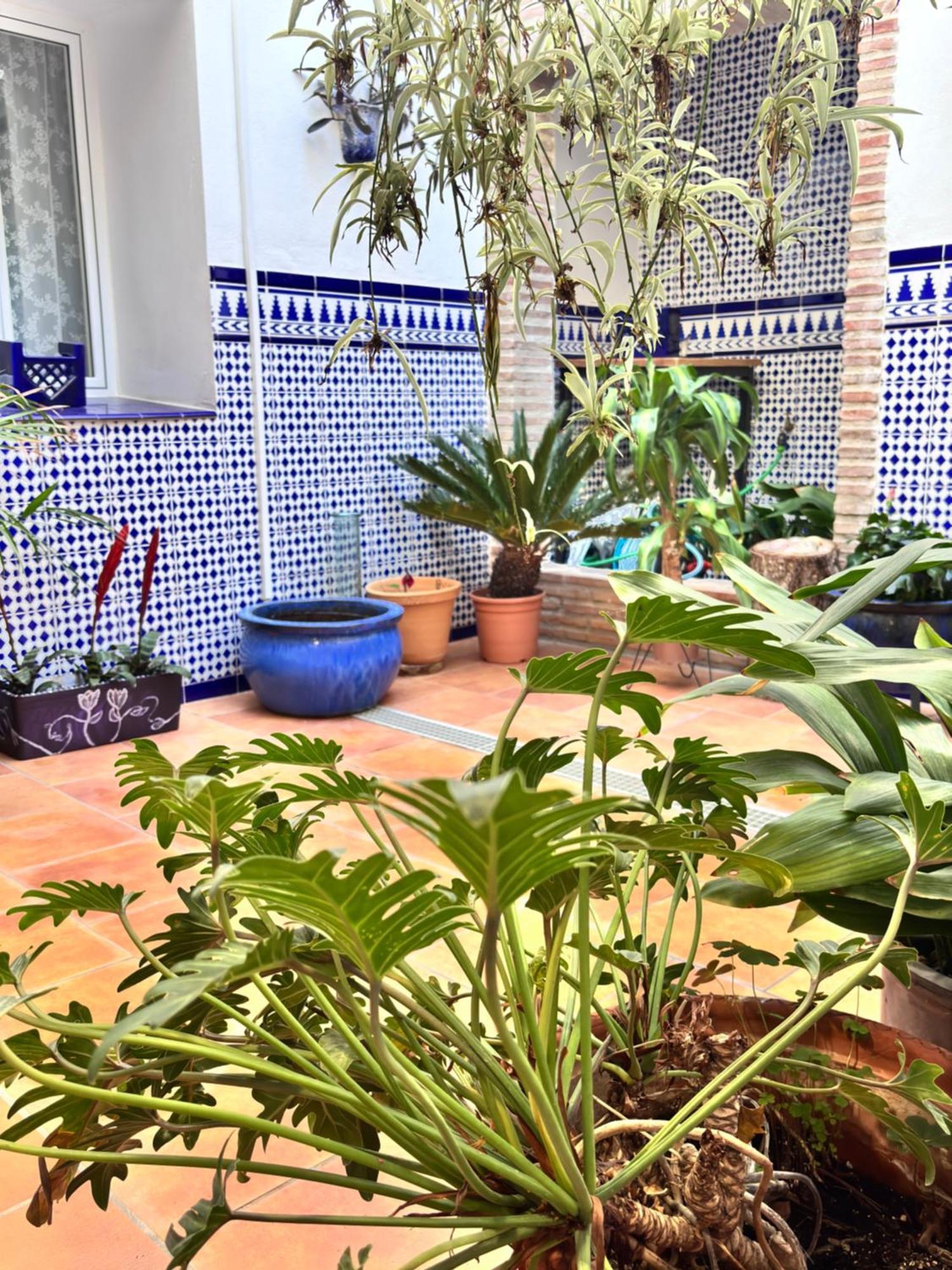 Shanti'S Andalusian Rooms Málaga Dış mekan fotoğraf